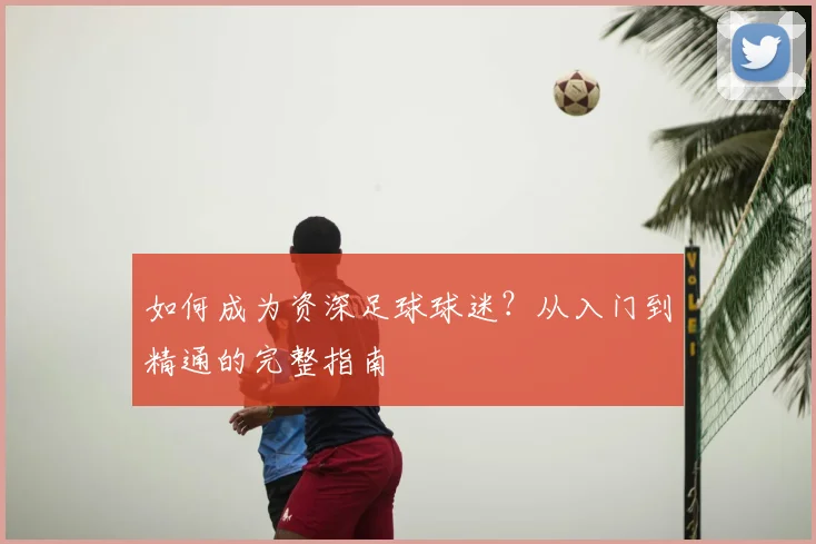 如何成为资深足球球迷？从入门到精通的完整指南