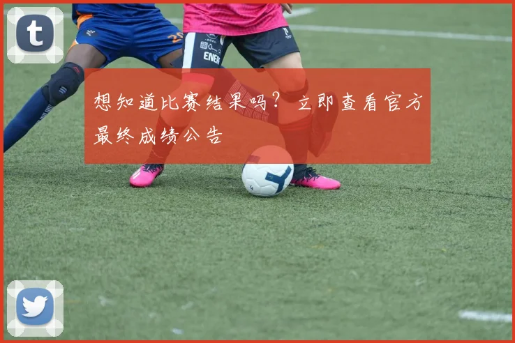想知道比赛结果吗？立即查看官方最终成绩公告